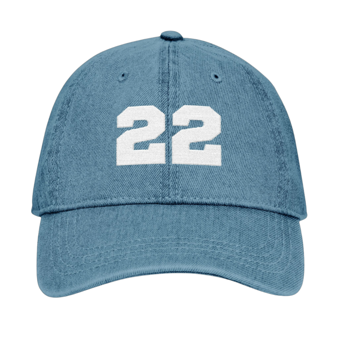 22 Embroidered Denim Hat