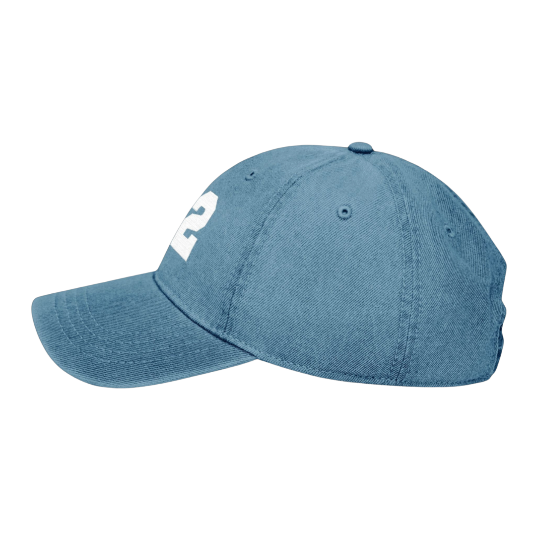 22 Embroidered Denim Hat