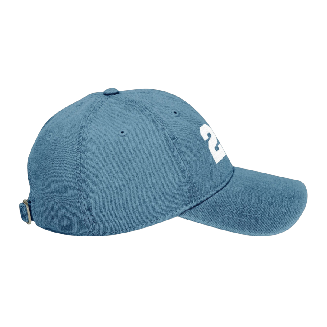 22 Embroidered Denim Hat